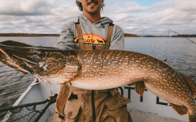 Week 18 in Review: The Leaves Dropped and the Trout Came Up